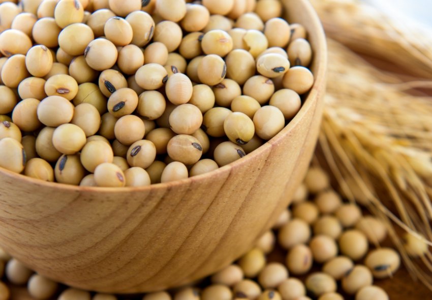 Китай може перенаправити раніше закуплену американську сою в резерв