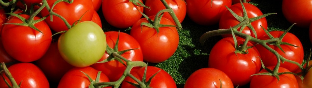 засолить помидоры в кастрюле как бочковые горячим способом. Смотреть фото засолить помидоры в кастрюле как бочковые горячим способом. Смотреть картинку засолить помидоры в кастрюле как бочковые горячим способом. Картинка про засолить помидоры в кастрюле как бочковые горячим способом. Фото засолить помидоры в кастрюле как бочковые горячим способом