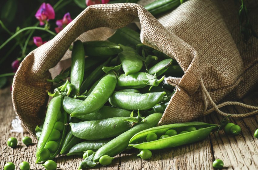 Посіви львівської компанії постраждали від дощів