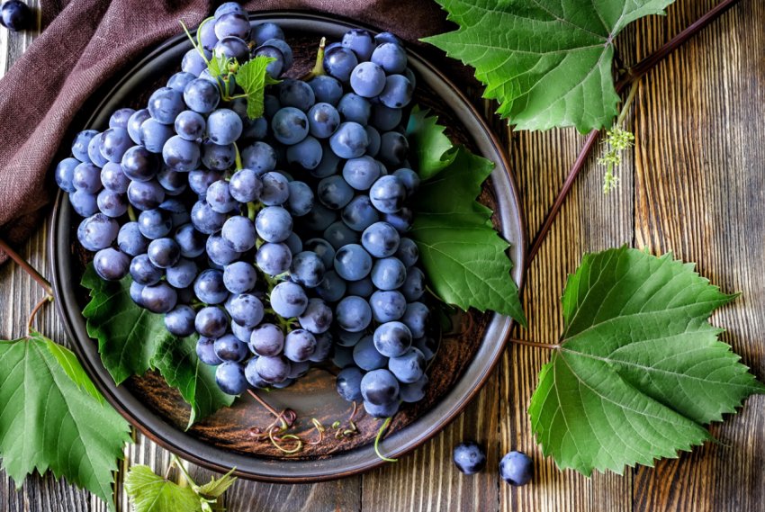 Українські виробники винограду побоюються осипання зав'язі