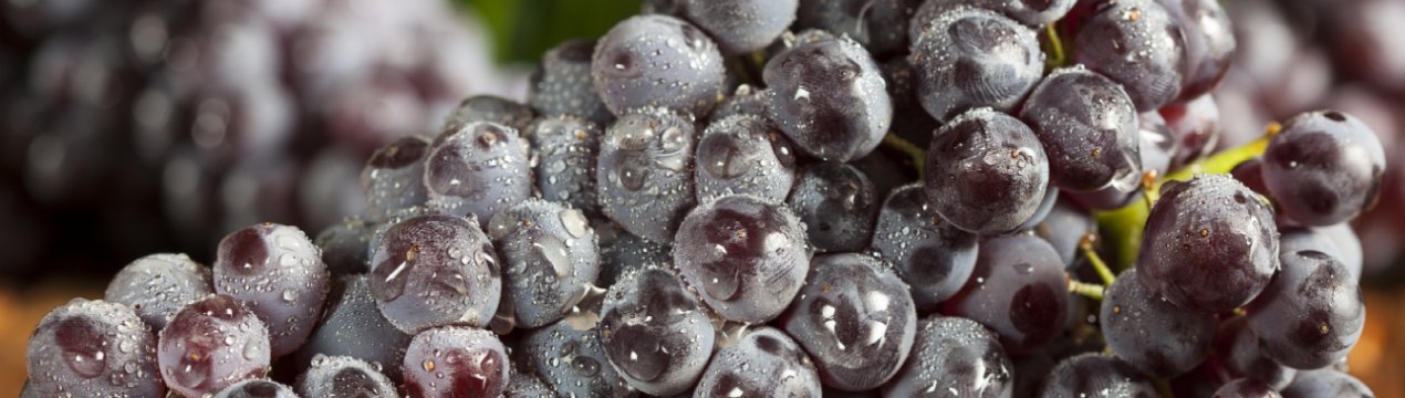 Українські виробники винограду побоюються осипання зав'язі