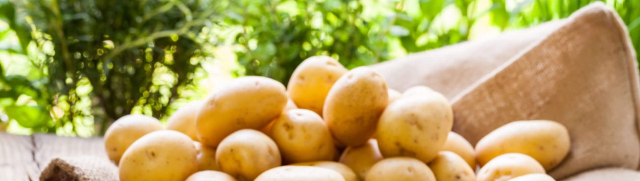 В південних регіонах України відбувся обвал цін на молоду картоплю