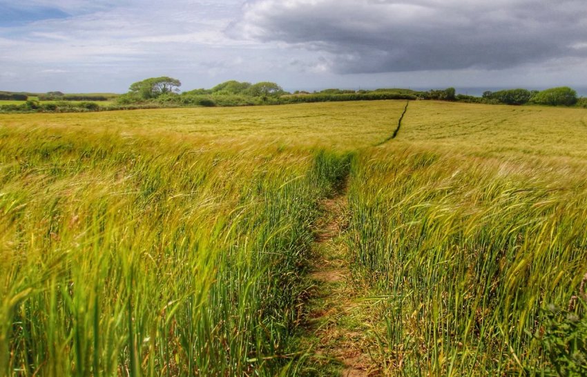 В Тернопільській області підтоплено ще 22 гектари сільгоспугідь В Тернопільській області підтоплено ще 22 гектари сільгоспугідь