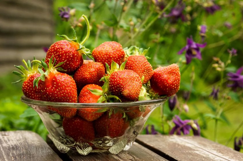 Російську столицю «прикрасили» 80 наметами з продажу полуниці Російську столицю «прикрасили» 80 наметами з продажу полуниці