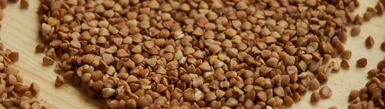 Алтайські аграрії завершують сівбу ярої на «гречаної ноті»