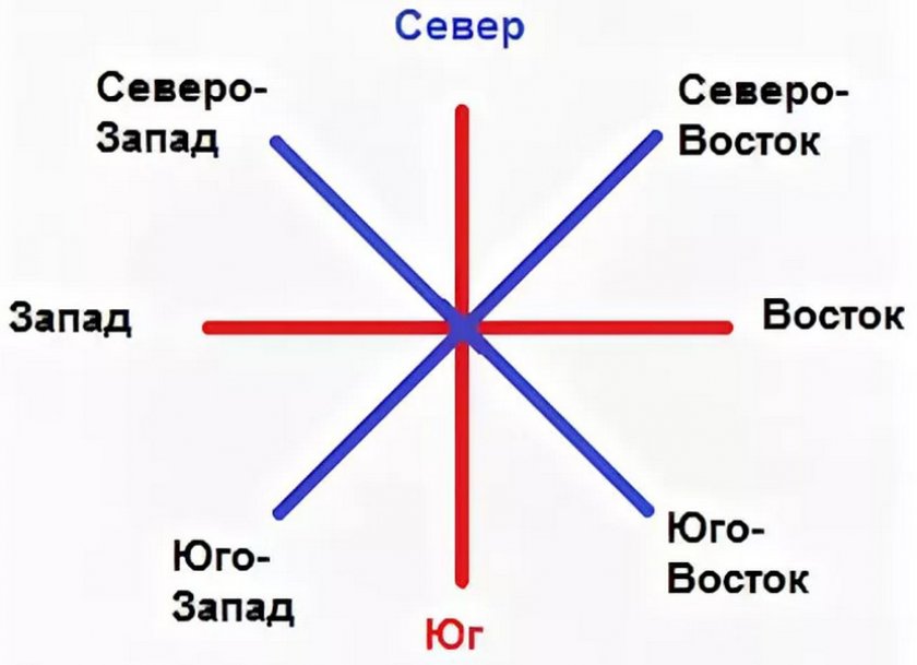 Малина которую можно вырастить в горшке. 86302.psmy60.840. Малина которую можно вырастить в горшке фото. Малина которую можно вырастить в горшке-86302.psmy60.840. картинка Малина которую можно вырастить в горшке. картинка 86302.psmy60.840. Раньше малину на ягоду для промышленной переработки в ыращивали из корней с коротким стеблем до 40см, полученых из питомников, или в большенстве своем с уже плодоносящих плантаций. Действительность очевидна и последствия становятся все более трагичными, особенно в районе Люблина, где малиновые плантации уничтожаются вирусными заболеваниями, которые передаются с зараженных плантаций на саженцы приобретенные в питомниках.