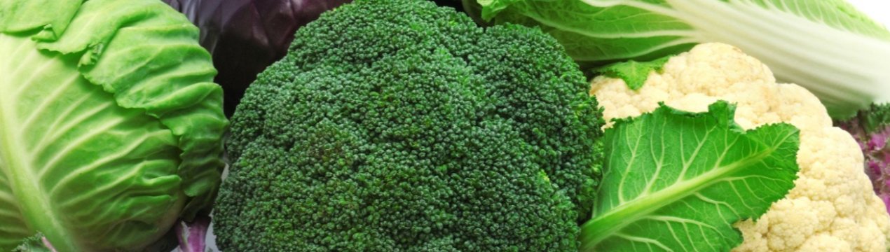 Російська капуста безжально дешевшає, засмучуючи фермерів