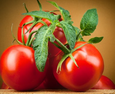 Для росіян встигають практично всі експортні помідори Азербайджану