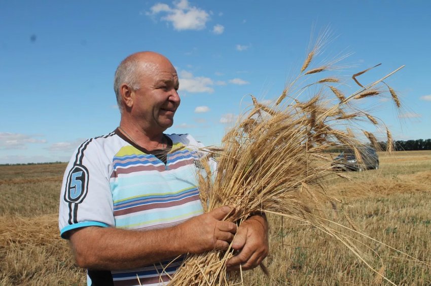 Британські фермери попереджають: якщо кількість робочої сили не збільшиться в чотири рази — буде кризу Британські фермери попереджають: якщо кількість робочої сили не збільшиться в чотири рази — буде кризу
