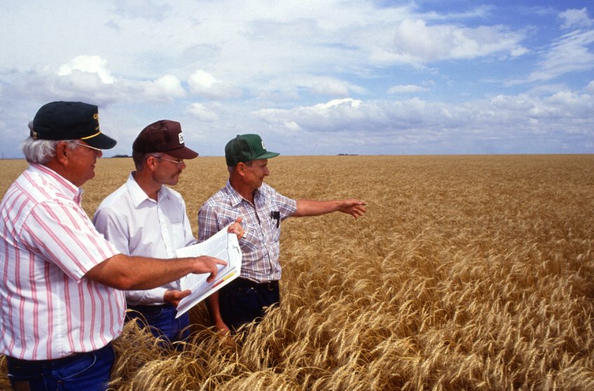 Американські фермерські настрою на найнижчому рівні за два роки