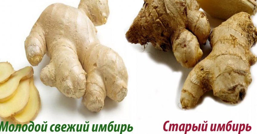 Имбирь