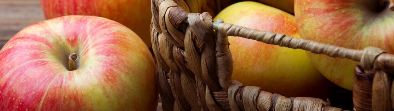 Вчені України вивели нові сорти яблунь, стійких до хвороб