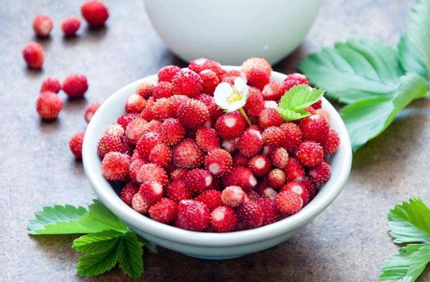 В Сумській області пройде суничний фестиваль В Сумській області пройде суничний фестиваль