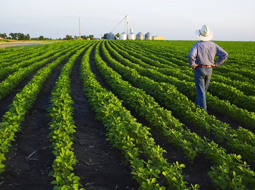 Фермери Великобританії закликають до «реалістичним графіками» переходу на постбрекситскую схему Фермери Великобританії закликають до «реалістичним графіками» переходу на постбрекситскую схему