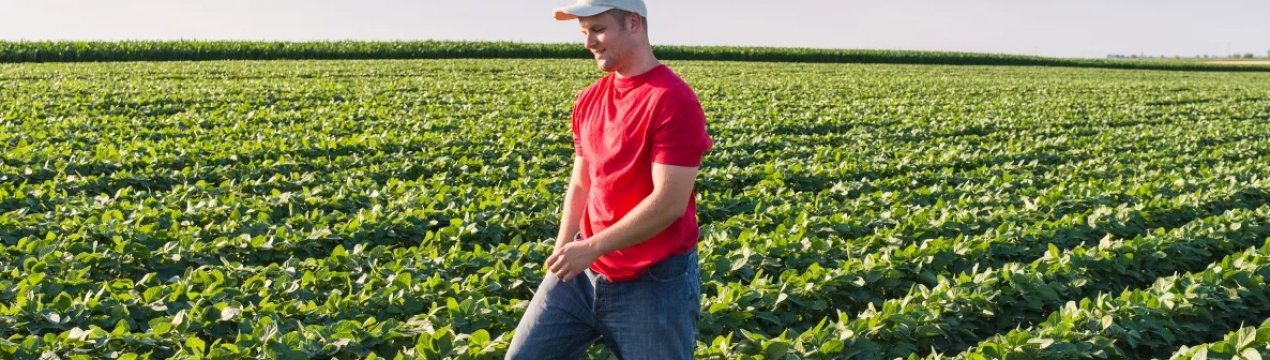 Фермери Великобританії закликають до «реалістичним графіками» переходу на схему постбрекситскую