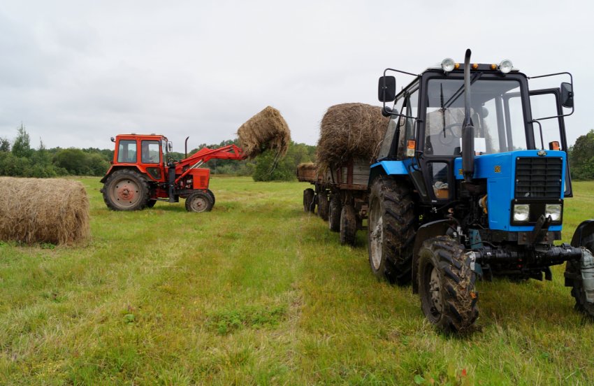 Більшість фермерів Великобританії воліють Brexit без угоди Більшість фермерів Великобританії воліють Brexit без угоди