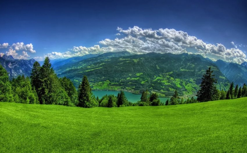 6,5 мільйона гектарів земель України вже не придатні для сільськогосподарської обробки