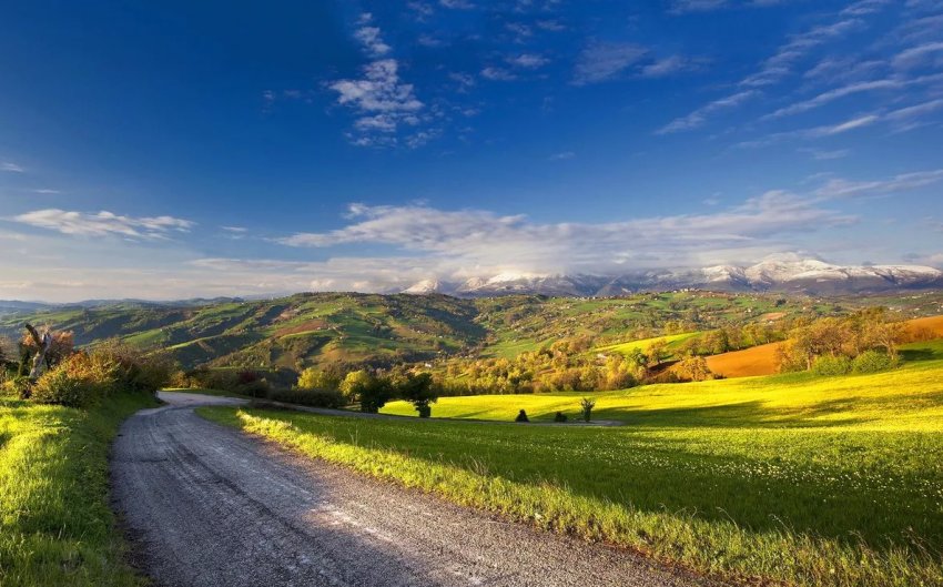 6,5 мільйона гектарів земель України вже не придатні для сільськогосподарської обробки