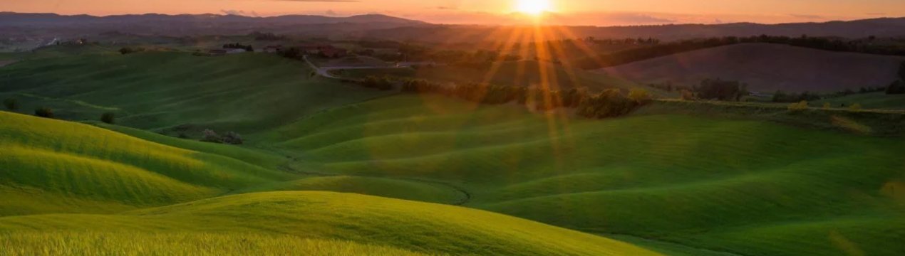 6,5 мільйона гектарів земель України вже не придатні для сільськогосподарської обробки