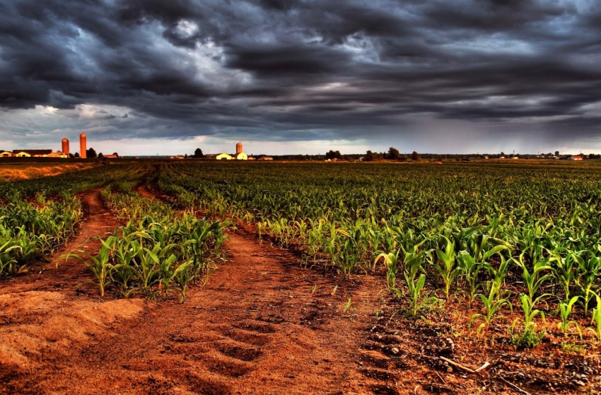 Неясність у бюджетній політиці відсувають реформу Спільної сільськогосподарської політики ЄС