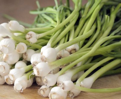 Після яких культур можна садити часник на городі?