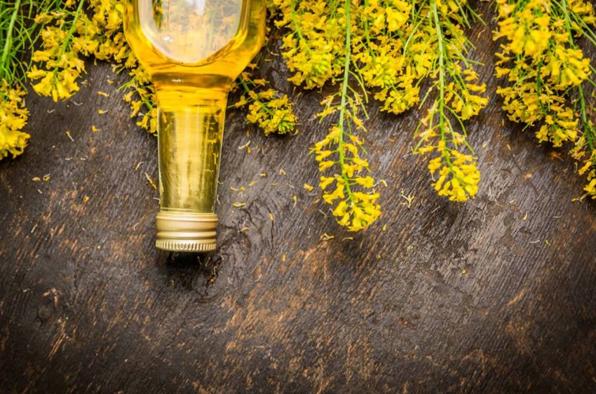 Триває зростання світових цін на продовольство