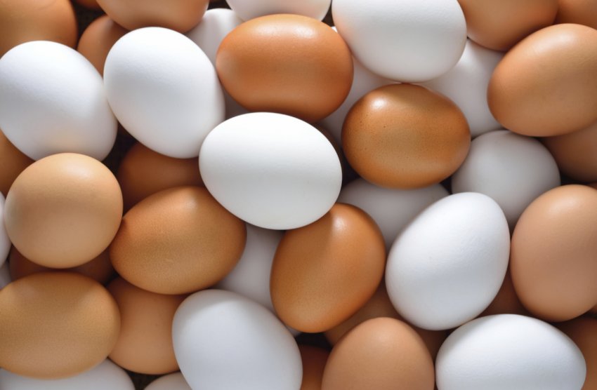 Пожежа на птахофабриці під Києвом зупинить падіння цін на яйце в Україні Пожежа на птахофабриці під Києвом зупинить падіння цін на яйце в Україні