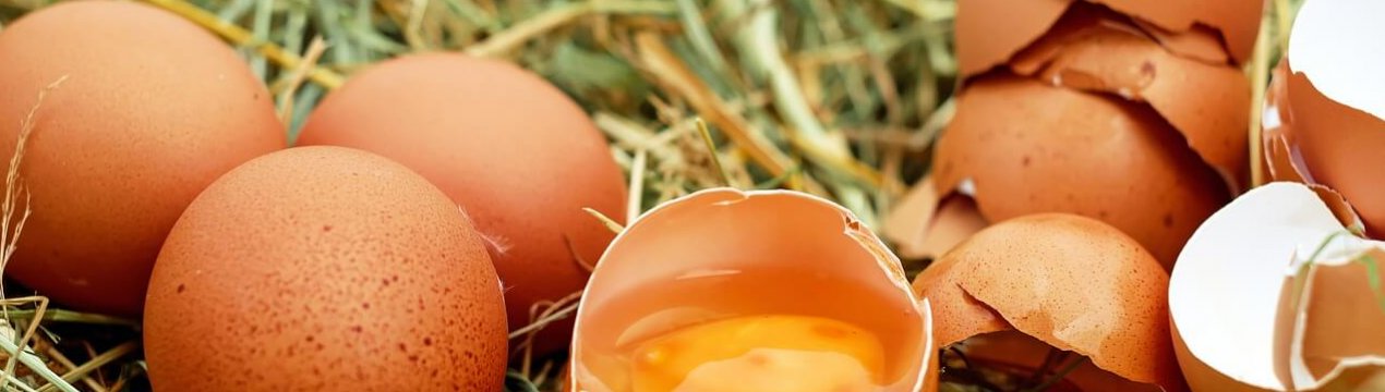 Пожежа на птахофабриці під Києвом зупинить падіння цін на яйце в Україні