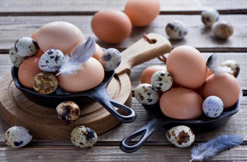 Пожежа на птахофабриці під Києвом зупинить падіння цін на яйце в Україні Пожежа на птахофабриці під Києвом зупинить падіння цін на яйце в Україні