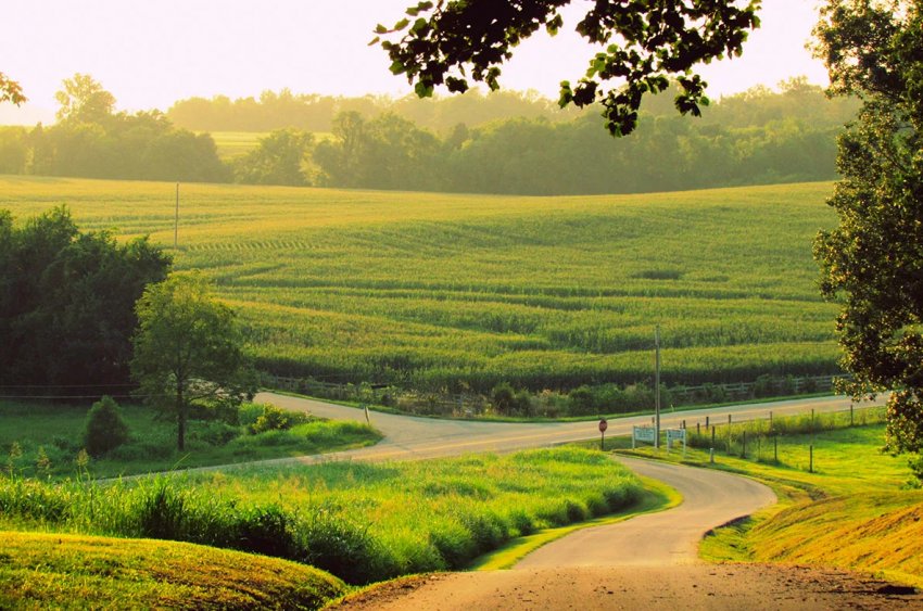 Поля Татарстану розпрощалися з надзвичайних режимом Поля Татарстану розпрощалися з надзвичайних режимом