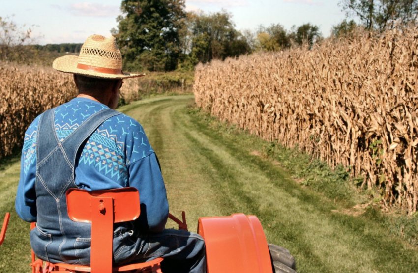 В шотландському Эйшире пройдуть безкоштовні бізнес-семінари для розвитку фермерського бізнесу В шотландському Эйшире пройдуть безкоштовні бізнес-семінари для розвитку фермерського бізнесу