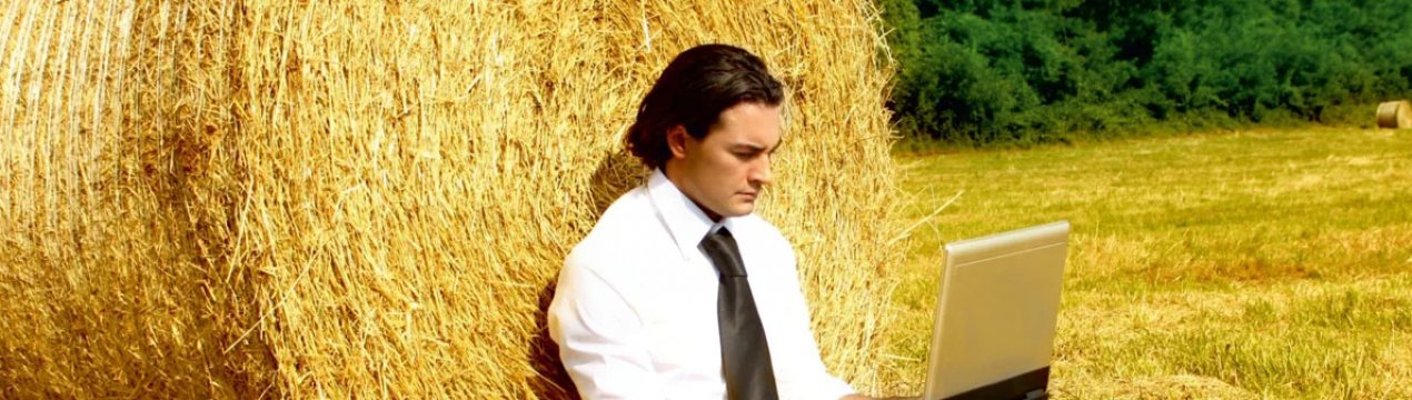 У шотландському Эйшире пройдуть безкоштовні бізнес-семінари для розвитку фермерського бізнесу