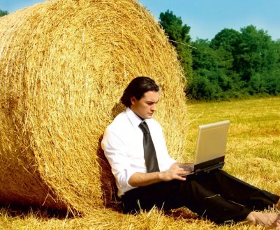 У шотландському Эйшире пройдуть безкоштовні бізнес-семінари для розвитку фермерського бізнесу