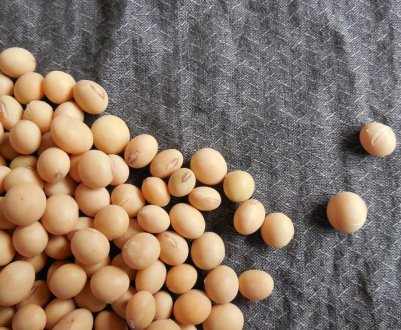 Російська соя — остання надія китайців?