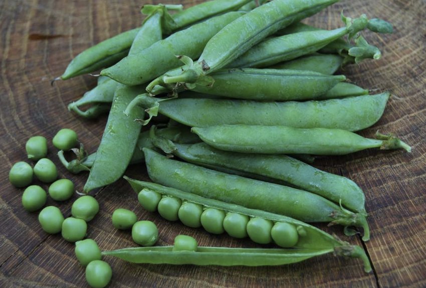 Цукровий горох