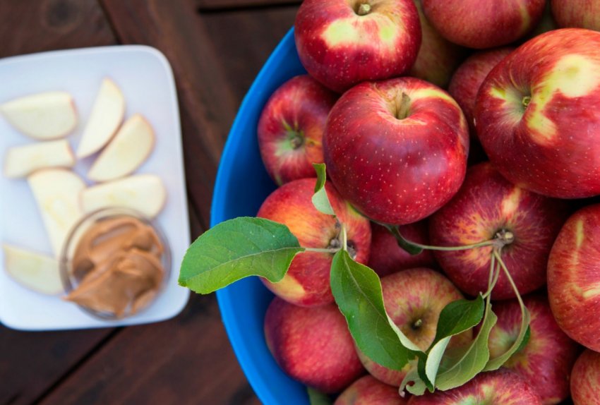 Урожай яблук в Херсонській області буде нижче, ніж у минулому році