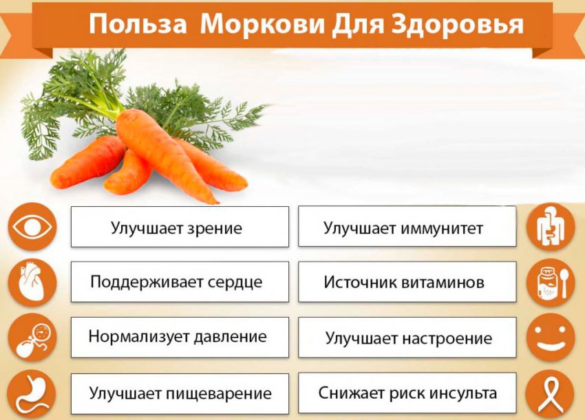 Полезные свойства моркови