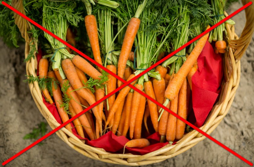 Противопоказания к употреблению моркови
