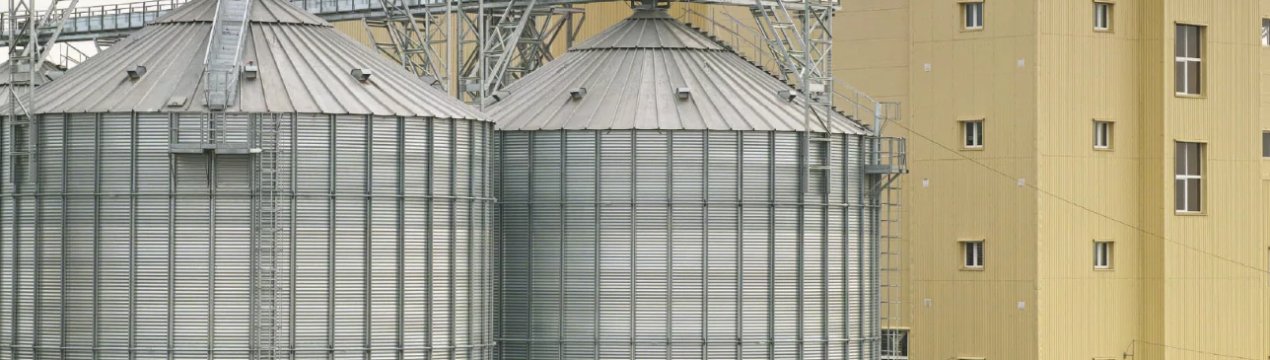 Росіяни об'єднають зусилля з китайцями заради будівництва нового агрохолдингу