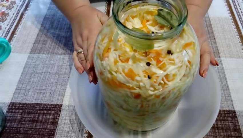 капуста квашенная рецепт с яблоками и морковью. Смотреть фото капуста квашенная рецепт с яблоками и морковью. Смотреть картинку капуста квашенная рецепт с яблоками и морковью. Картинка про капуста квашенная рецепт с яблоками и морковью. Фото капуста квашенная рецепт с яблоками и морковью