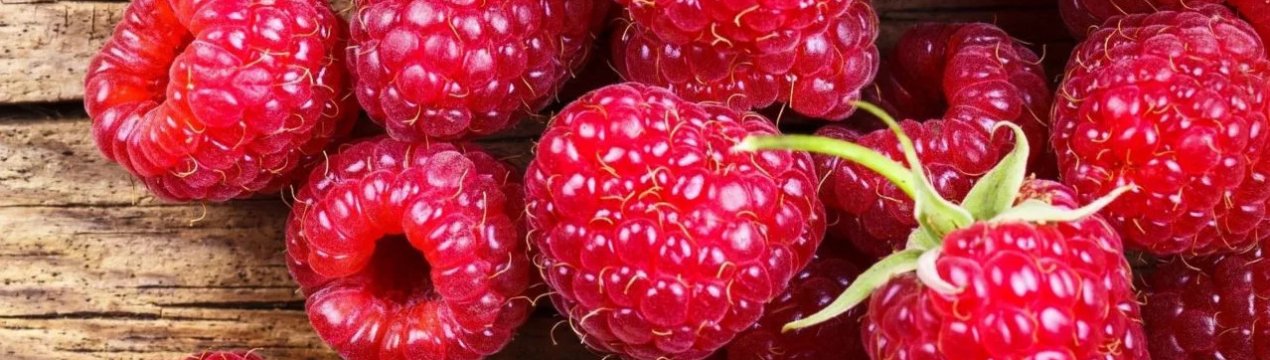 Ремонтантная малина евразия видео. . Ремонтантная малина евразия видео фото. Ремонтантная малина евразия видео-. картинка Ремонтантная малина евразия видео. картинка . Малина «Евразия» — это один из наиболее выдающихся ремонтантных сортов, который выгодно выделяется на фоне большинства ягодных новинок крупноплодностью, высокой урожайностью и необыкновенной скороспелостью. Этот отечественный сорт получен селекционерами ВСТИСП. Описание его включено в Государственный реестр по Российской Федерации.