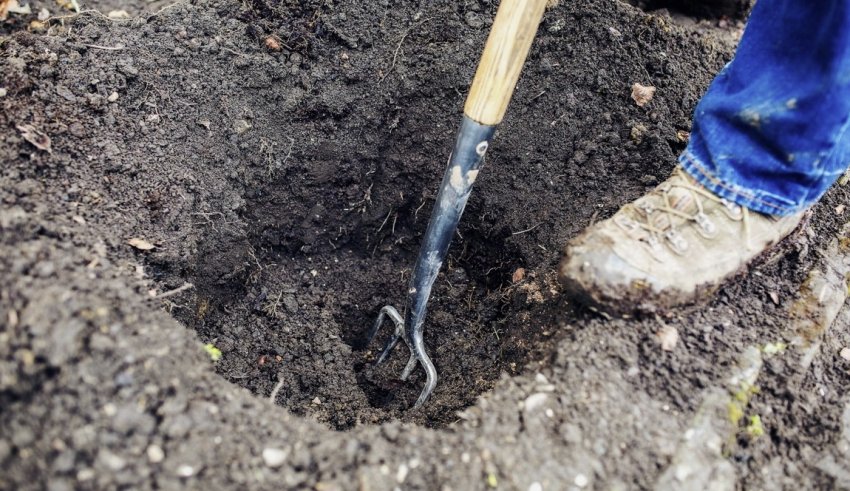 Посадкова яма для малини