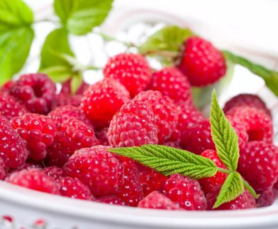 В ягідниках України вирощується все менше малини