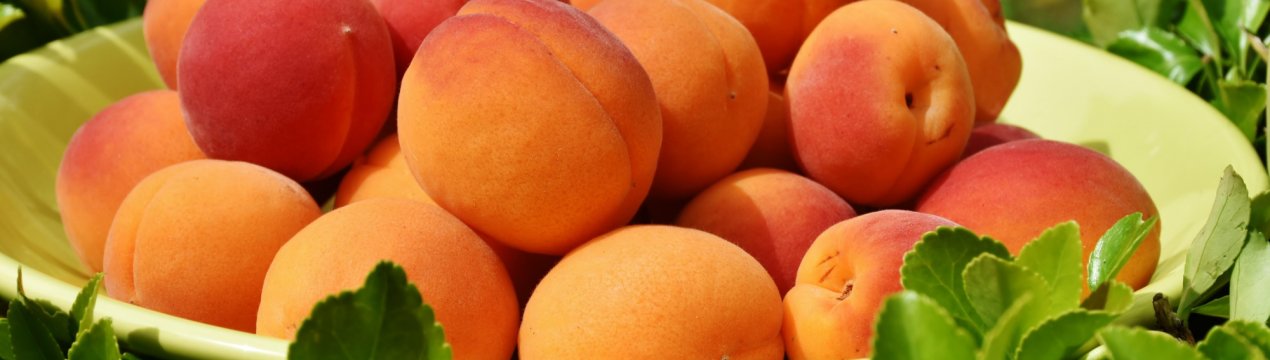 Росія ледь не занурилася в пучину холери через турецьких фруктів