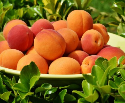 Росія ледь не занурилася в пучину холери через турецьких фруктів