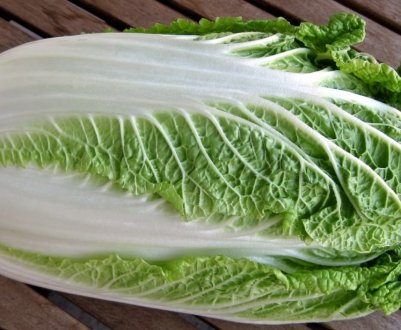 Житомирське господарство впроваджує промислове вирощування пекінської капусти