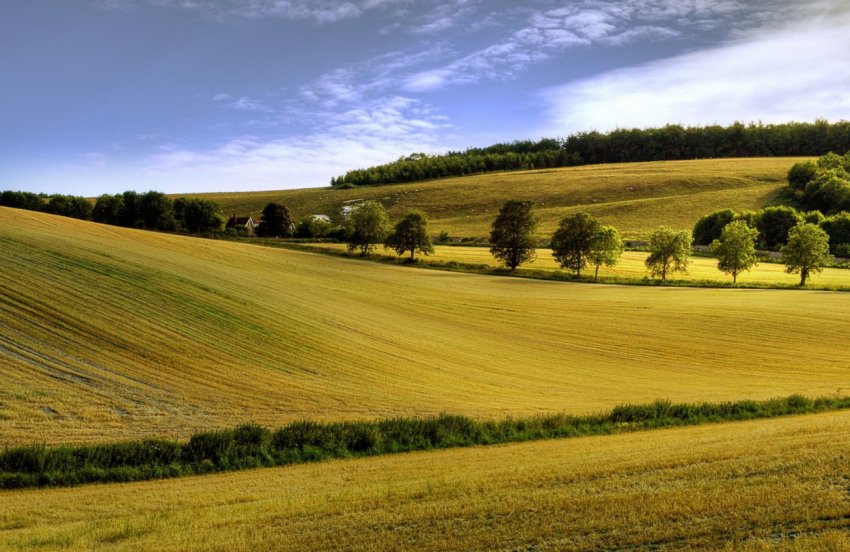 Агросектор України щорічно втрачає близько 35 мільярдів гривень через деградації грунтів Агросектор України щорічно втрачає близько 35 мільярдів гривень через деградації грунтів