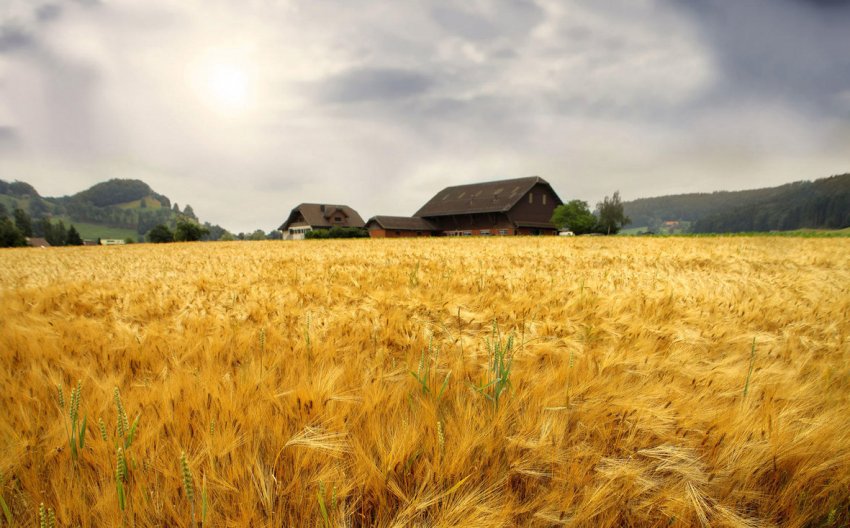 Агросектор України щорічно втрачає близько 35 мільярдів гривень через деградації грунтів Агросектор України щорічно втрачає близько 35 мільярдів гривень через деградації грунтів