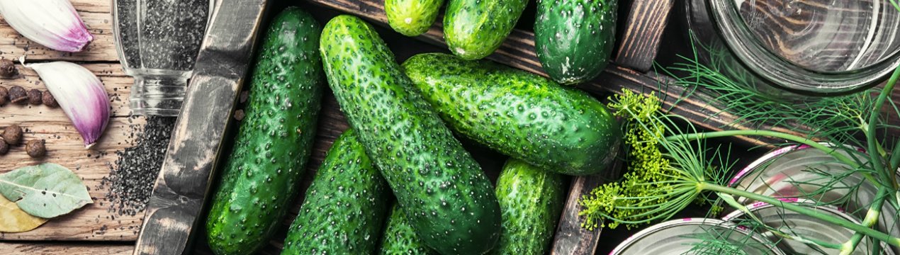 В Україні різко обвалилися ціни на тепличні огірки