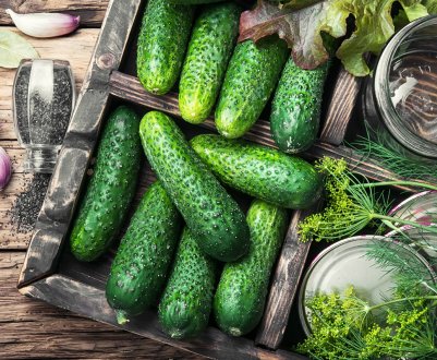  В Україні різко обвалилися ціни на тепличні огірки